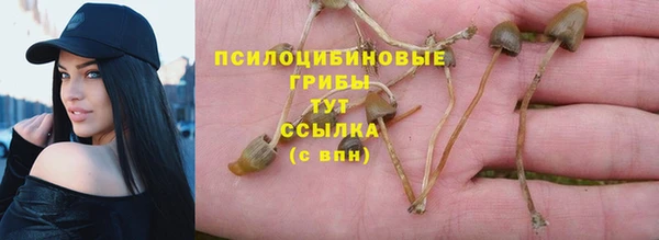 шишки Михайловск