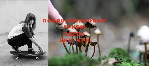 бутират Медвежьегорск