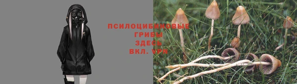 MDMA Premium VHQ Михайлов
