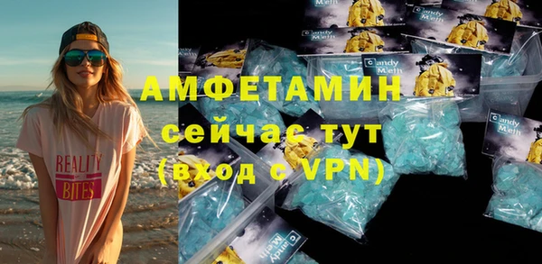 шишки Михайловск