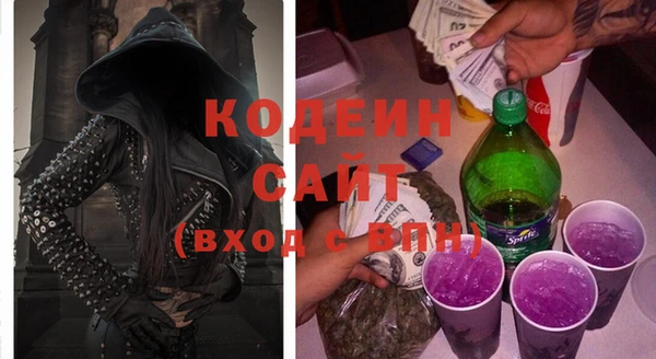 шишки Михайловск