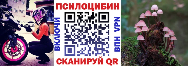 MEGA маркетплейс  Катав-Ивановск  Галлюциногенные грибы Magic Shrooms  дарнет шоп 